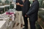 ✅راه اندازی شهرک ماهیان زینتی نیازمند تامین آب است